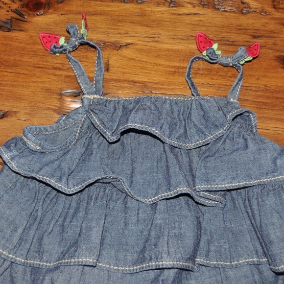 GYMBOREE Girl's Burst of Spring Chambray Dress 2T - Picture 6 of 8